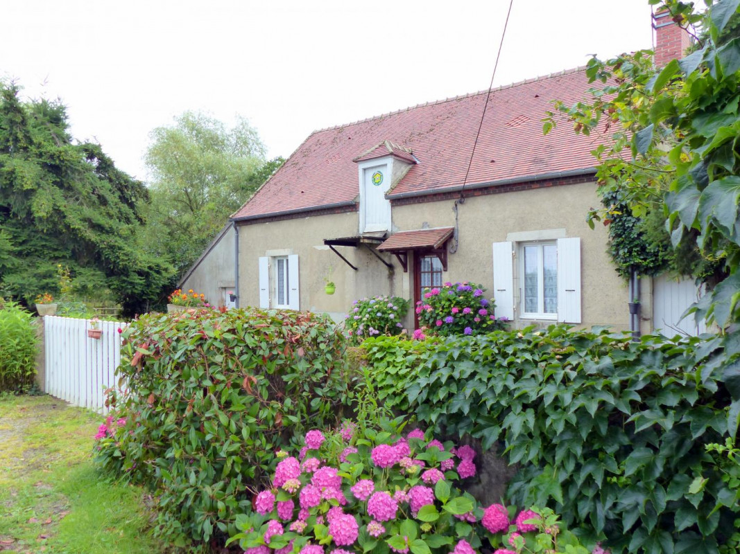 photo 0
