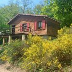 Chalet/Bungalow - Le Chalet de la Sioule - JENZAT - Allier