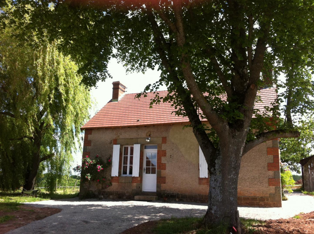 photo 0